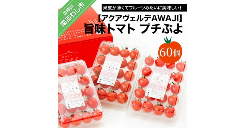 【ふるさと納税】【アクアヴェルデAWAJI】旨味トマト　プチぷよ　60個　◆配送12月中旬～