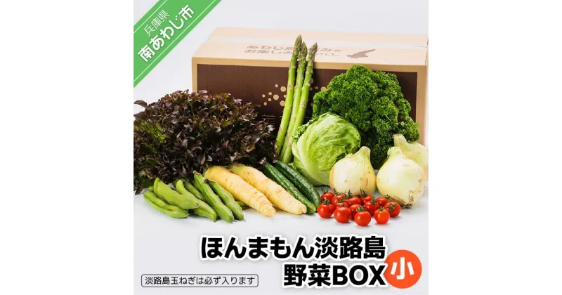 【ふるさと納税】【美菜恋来屋】ほんまもん淡路島野菜BOX（小）