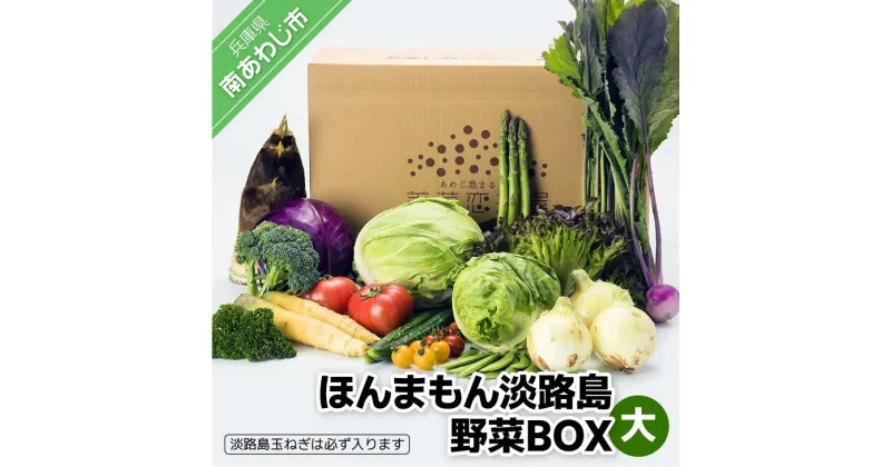 【ふるさと納税】【美菜恋来屋】ほんまもん淡路島野菜BOX（大）