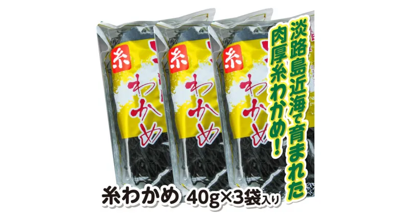 【ふるさと納税】糸わかめ 40g×3袋入り