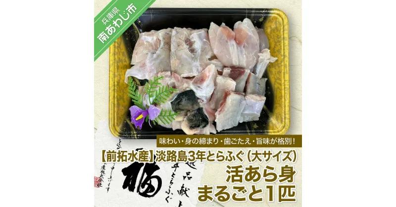 【ふるさと納税】【冷蔵】淡路島3年とらふぐ（大サイズ）活あら身まるごと1匹◆配送10月8日～3月31日