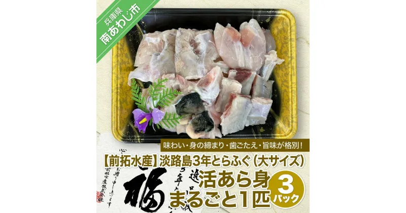 【ふるさと納税】【冷蔵】淡路島3年とらふぐ（大サイズ）活あら身まるごと1匹【3Pセット】◆配送10月8日～3月31日