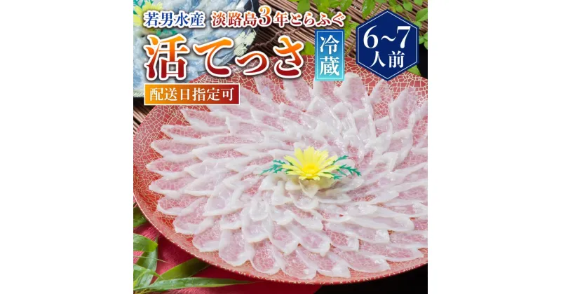 【ふるさと納税】【 発送時期が選べる 冷蔵 】淡路島3年とらふぐ活てっさ（6～7人前）ふぐ てっさ とらふぐ ふぐ刺し ふぐ刺身 ふぐしゃぶ 活魚 鮮魚 海産物 海鮮 魚 淡路島 淡路 産地直送 お取り寄せ グルメ ギフト 贈り物 プレゼント お返し