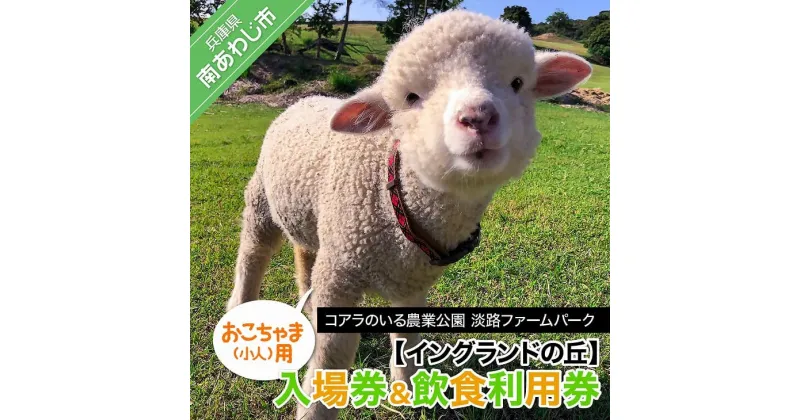 【ふるさと納税】コアラのいる農業公園　淡路ファームパーク　イングランドの丘　入場券＆飲食利用券（小人用）