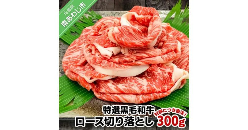 【ふるさと納税】 ふるさと納税 牛肉 切り落とし 【垣牧場】☆好評につき、復活！☆特選 黒毛和牛 ロース切り落とし 300g