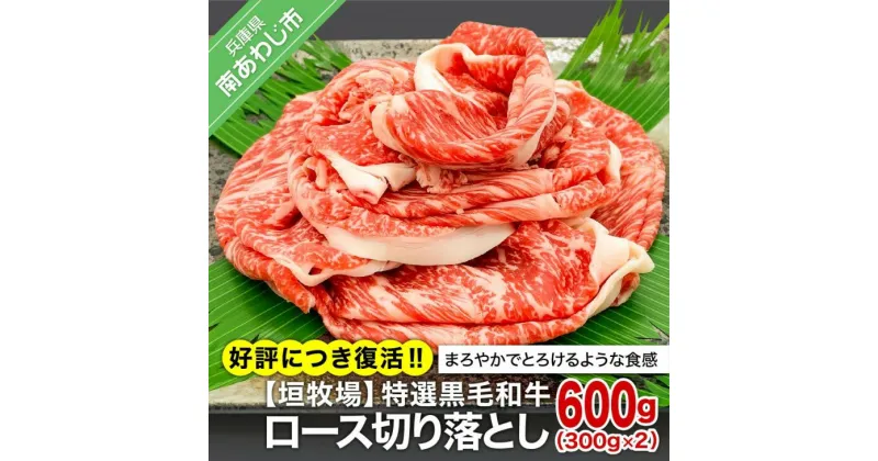 【ふるさと納税】 ふるさと納税 牛肉 切り落とし 【垣牧場】☆好評につき、復活！☆特選 黒毛和牛 ロース切り落とし 300g×2パック