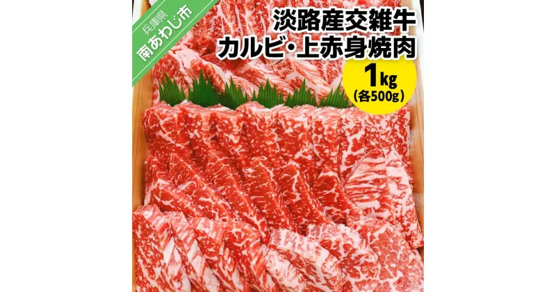 【ふるさと納税】 【ムラカミ食品】淡路産交雑牛カルビ×上赤身焼肉詰め合わせ（各500g）1kg　進物