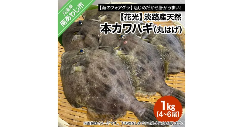 【ふるさと納税】【花光】淡路産天然本カワハギ（丸はげ）1kg