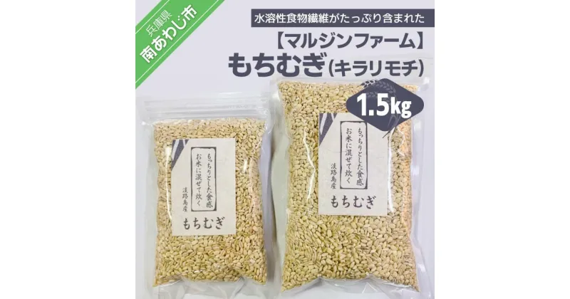 【ふるさと納税】【マルジンファーム】淡路島 南あわじ産　もちむぎ（キラリモチ）1.5kg