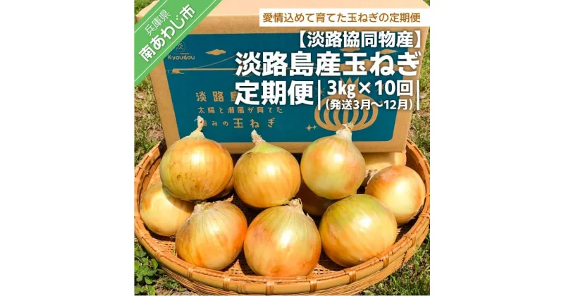 【ふるさと納税】【淡路協同物産】淡路島産玉ねぎ 定期便　3kg × 10回（発送3月～12月）淡路島 玉ねぎ 玉葱 国産 野菜 オニオン サラダ マリネ スープ ハンバーグ カレー 送料無料 お取り寄せ グルメ お買い物マラソン