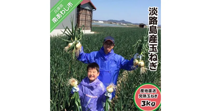 【ふるさと納税】淡路島産 玉ねぎ 3kg