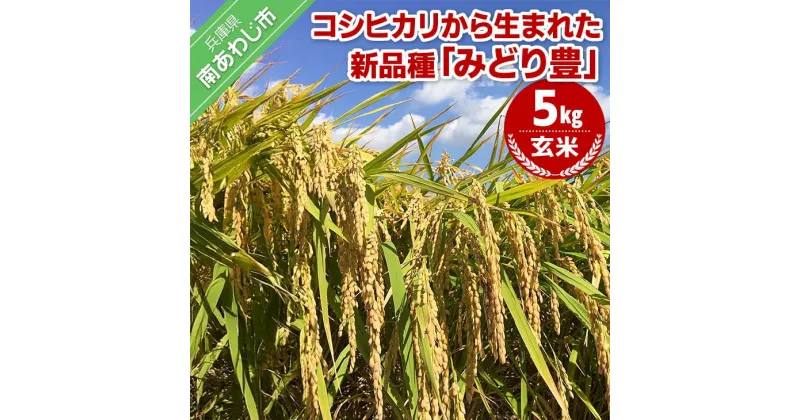 【ふるさと納税】令和6年産　玄米5kg　農薬・化学肥料不使用10月初旬頃から発送