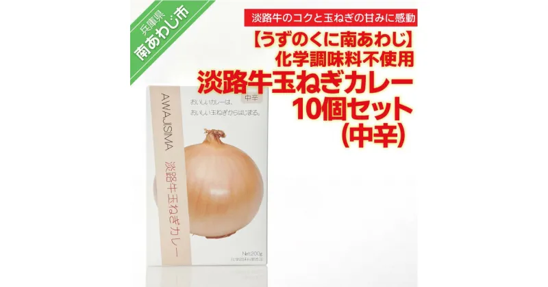 【ふるさと納税】化学調味料不使用【淡路牛玉ねぎカレー（中辛）】10個セット