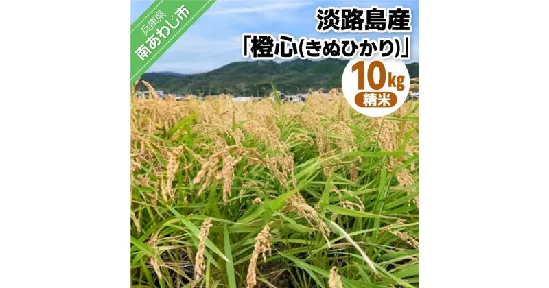 【ふるさと納税】令和6年度産 新米 淡路島産「橙心(きぬひかり)」　精米10kg　◆配送9月末～