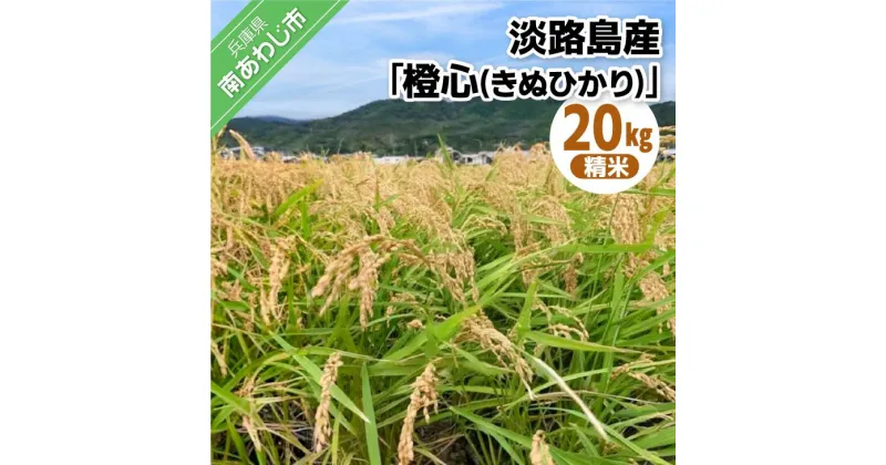 【ふるさと納税】令和6年度産 新米 淡路島産「橙心(きぬひかり)」　精米20kg　◆配送9月末～