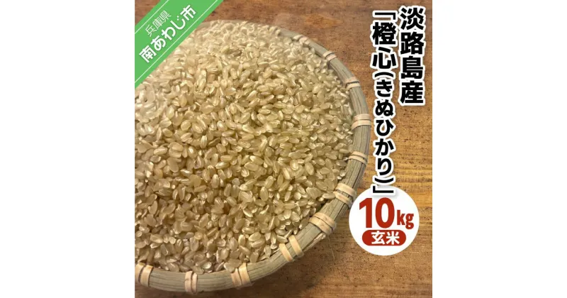 【ふるさと納税】令和6年度産 新米 淡路島産「橙心(きぬひかり)」　玄米10kg　◆配送9月末～ふるさと納税 おすすめ 米 こめ お米 国産 ご飯 産地直送 農家直送 送料無料 淡路島 兵庫県産