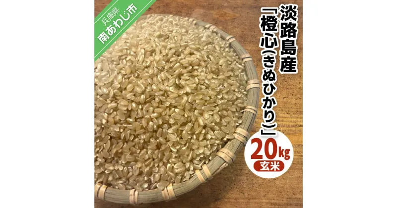 【ふるさと納税】令和6年度産 新米 淡路島産「橙心(きぬひかり)」　玄米20kg　◆配送9月末～ふるさと納税 おすすめ