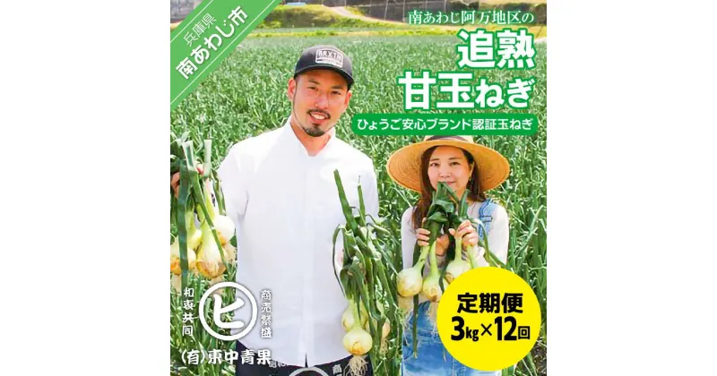 【ふるさと納税】【12ヶ月定期便】「追熟甘玉ねぎ」3kg