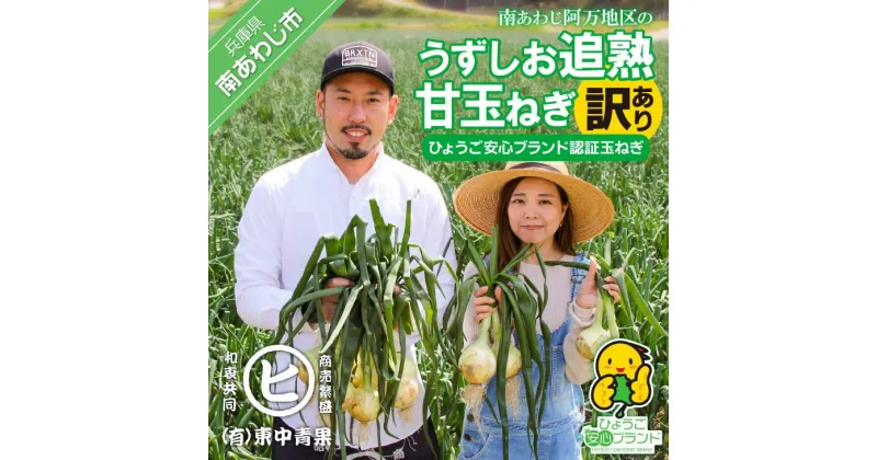 【ふるさと納税】うずしお追熟甘玉ねぎ（訳あり）10kg 9000円 たまねぎ 玉葱 訳あり 国産 野菜 オニオン サラダ スープ ハンバーグ カレー 淡路島 淡路 送料無料 お買い物マラソン 9000円