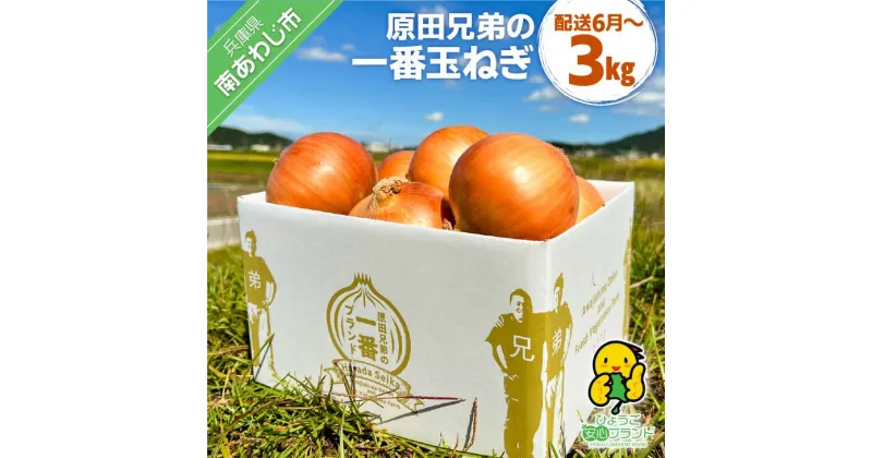 【ふるさと納税】【原田青果】原田兄弟の一番玉ねぎ3kg　◆配送6月～　ふるさと納税 おすすめ