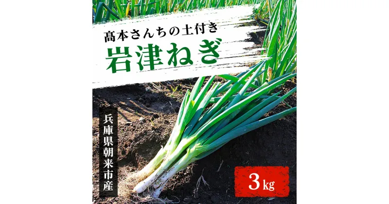 【ふるさと納税】【12月10日以降順次発送】高本さんちの土付き岩津ねぎ3kg 兵庫県 朝来市 AS2AB2 岩津ねぎ ねぎ ネギ 葱 長ねぎ 長ネギ 長葱 ブランドねぎ ブランドネギ ブランド葱 期間限定 数量限定 野菜 旬の野菜 冬野菜