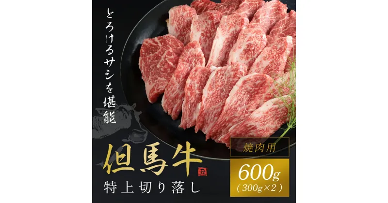 【ふるさと納税】但馬牛特上切り落とし 300g×2P (焼肉用) 神戸牛 神戸ビーフ 牛肉 黒毛和牛 国産牛 ブランド和牛 切り落とし 牛切り落とし 切り落とし肉 焼肉 焼き肉 BBQ バーベキュー 兵庫県 朝来市 AS1CA15