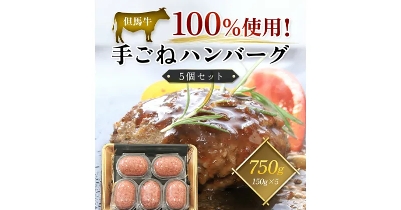 【ふるさと納税】但馬牛100%使用！手ごねハンバーグ5個セット (150g×5個) ハンバーグ 但馬牛 黒毛和牛 国産和牛 ブランド和牛 牛肉 牛肉ハンバーグ 牛ハンバーグ 但馬 兵庫 てごね 手ごね おかず お弁当 人気 セット 冷凍 兵庫県 朝来市 AS1BC14