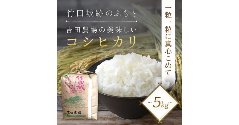 【ふるさと納税】＜令和6年産 新米＞竹田城跡の麓 吉田農場の美味しいコシヒカリ（白米）5kg コシヒカリ こしひかり コメ こめ 米 ごはん ご飯 白米 5キロ 兵庫県 朝来市 AS1B1