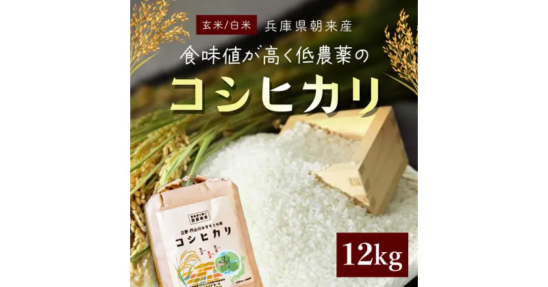 【ふるさと納税】＜令和6年産 新米＞食味値が高く低農薬のコシヒカリ 12kg【円山川源流域の清流で育った米】米 こめ コメ お米 おこめ ご飯 ごはん 白米 玄米 こしひかり 低農薬 国産米 国産 単一米 単一原料米 12キロ 兵庫県 朝来市 AS4CA23