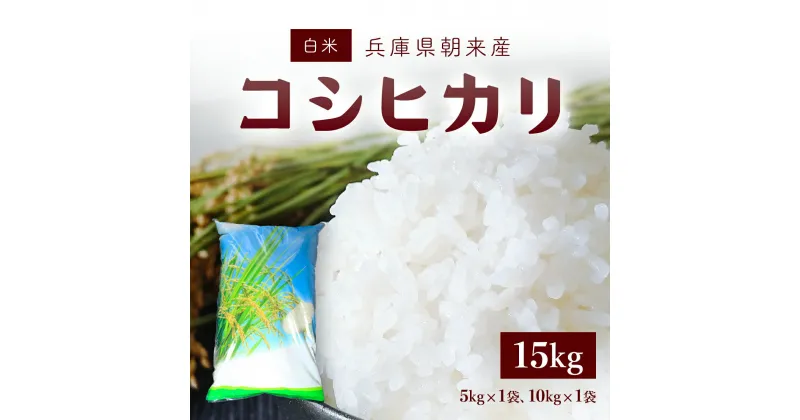 【ふるさと納税】＜令和6年産 新米＞朝来産コシヒカリ米 15kg (5kg×1袋、10kg×1袋)白米 はくまい お米 おこめ ごはん ご飯 コシヒカリ こしひかり 国産 米 こめ コメ 国産米 15キロ 兵庫県 朝来市 AS4CA4