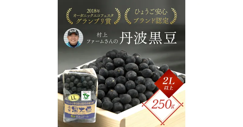 【ふるさと納税】村上ファームさんの丹波黒豆250g（2L以上）丹波黒大豆 丹波黒豆 丹波黒 黒豆 黒大豆 大豆 ダイズ 黒ダイズ クロマメ くろまめ 大粒 有機JAS認証 無農薬栽培 煮豆 おせち おせち料理 お正月 正月料理 兵庫県 朝来市 AS1AB3