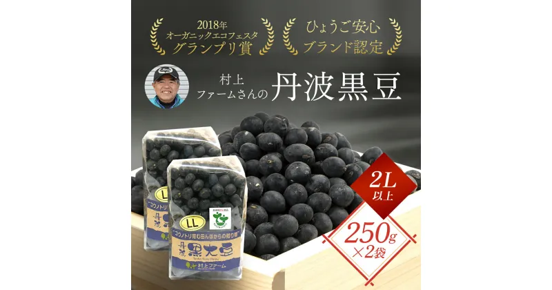 【ふるさと納税】村上ファームさんの丹波黒豆250g（2L以上）×2個セット丹波黒大豆 丹波黒豆 丹波黒 黒豆 黒大豆 大豆 ダイズ 黒ダイズ クロマメ くろまめ 大粒 有機JAS認証 無農薬栽培 煮豆 おせち おせち料理 お正月 正月料理 兵庫県 朝来市 AS1BA19