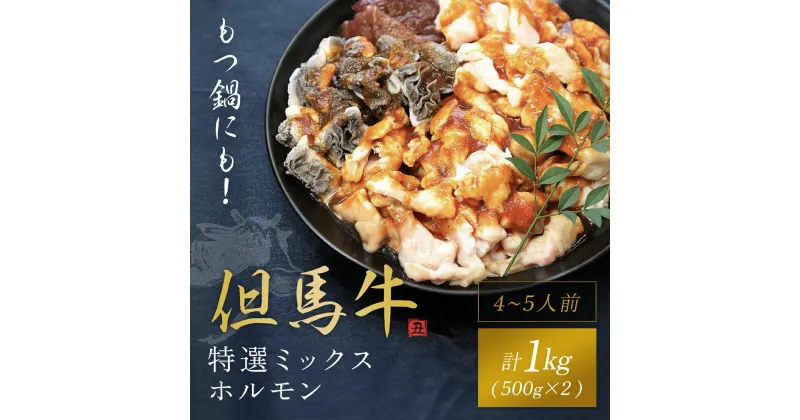 【ふるさと納税】もつ鍋にも!【但馬牛】特選ミックスホルモン1kg(500g×2P)【配送不可地域：離島】神戸牛 神戸ビーフ 牛肉 黒毛和牛 国産牛 ブランド和牛 ホルモン ミックスホルモン 1キロ 兵庫県 朝来市 AS1DA1