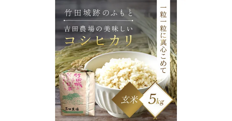 【ふるさと納税】＜令和6年産 新米＞竹田城跡の麓 吉田農場の美味しいコシヒカリ（玄米）5kg コシヒカリ こしひかり コメ こめ 米 ごはん ご飯 玄米 5キロ 兵庫県 朝来市 AS1AD1