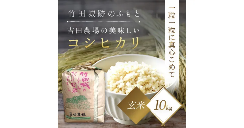 【ふるさと納税】＜令和6年産 新米＞竹田城跡の麓 吉田農場の美味しいコシヒカリ（玄米）10kg コシヒカリ こしひかり コメ こめ 米 ごはん ご飯 玄米 10キロ 兵庫県 朝来市 AS1BF1