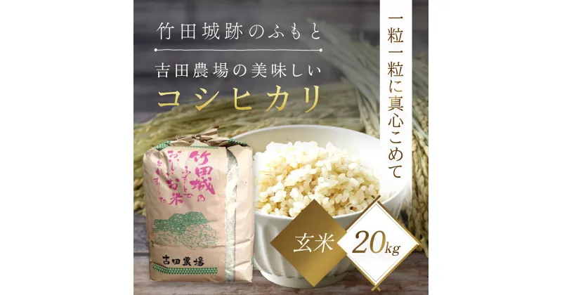 【ふるさと納税】＜令和6年産 新米＞竹田城跡の麓 吉田農場の美味しいコシヒカリ（玄米）20kg コシヒカリ こしひかり コメ こめ 米 ごはん ご飯 玄米 20キロ 兵庫県 朝来市 AS1D1