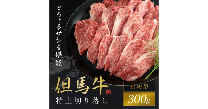 【ふるさと納税】【但馬牛】特上切り落し 300g (焼肉用) 神戸牛 神戸ビーフ 黒毛和牛 国産牛 ブランド和牛 切り落とし 切り落とし肉 牛切り落とし 焼き肉 焼肉 BBQ バーベキュー A4ランク以上 A4ランク A4 兵庫県 朝来市 AS1BB19