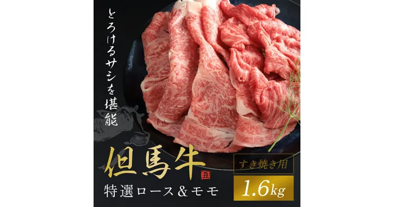 【ふるさと納税】【但馬牛】特選ロース＆モモ すき焼き用 1600g 神戸牛 神戸ビーフ 黒毛和牛 国産牛 ブランド和牛 ロース 牛ロース ロース肉 牛モモ もも肉 モモ肉 すき焼き すきやき 1.6kg 1.6キロ 兵庫県 朝来市 AS1K7