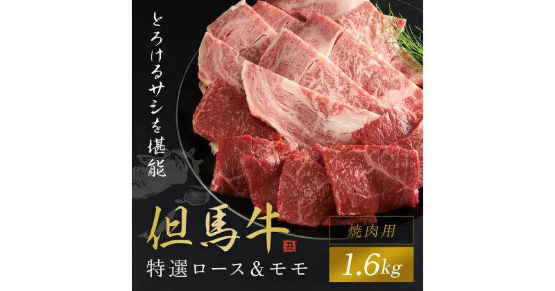 【ふるさと納税】【但馬牛】特選ロース＆モモ 1600g (焼肉用) 神戸牛 神戸ビーフ 黒毛和牛 国産牛 ブランド和牛 ロース 牛ロース ロース肉 牛モモ もも肉 モモ肉 焼肉 焼き肉 1.6kg 1.6キロ 兵庫県 朝来市 AS1K8