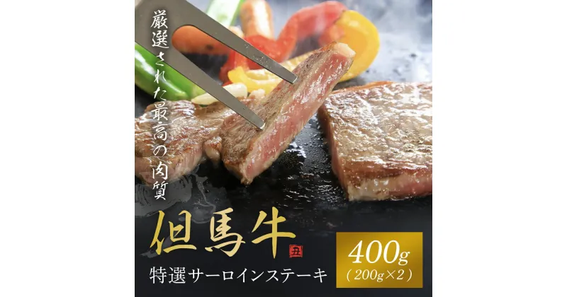 【ふるさと納税】【但馬牛】特選サーロインステーキ 200g×2枚 神戸牛 神戸ビーフ 黒毛和牛 国産牛 ブランド和牛 ステーキ ステーキ肉 サーロインステーキ サーロイン 兵庫県 朝来市 AS1F10