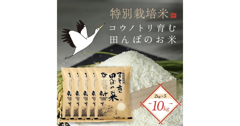 【ふるさと納税】＜令和6年産 新米＞特別栽培米 コウノトリ育む田んぼのお米 10kg（2kg×5袋）〈村上ファーム〉 お米 おこめ 米 こめ コメ ご飯 ごはん 白米 10キロ 10kg 兵庫県 朝来市 AS1CA3