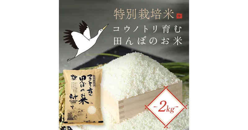 【ふるさと納税】＜令和6年産 新米＞特別栽培米 コウノトリ育む田んぼのお米 2kg×1袋〈村上ファーム〉お米 おこめ 米 こめ コメ ご飯 ごはん 白米 2キロ 兵庫県 朝来市 AS1AB6