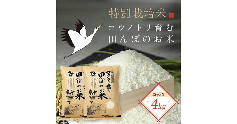 【ふるさと納税】＜令和6年産 新米＞特別栽培米 コウノトリ育む田んぼのお米 4kg（2kg×2袋）〈村上ファーム〉お米 おこめ 米 こめ コメ ご飯 ごはん 白米 4キロ 4kg 兵庫県 朝来市 AS1BB6