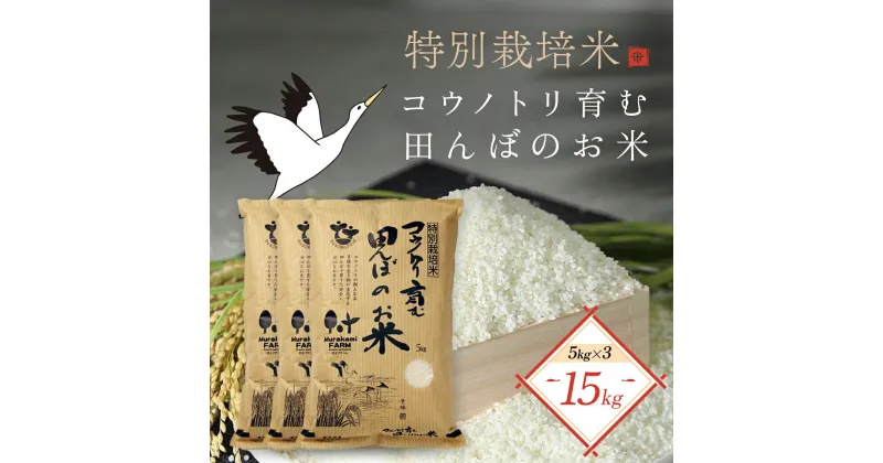 【ふるさと納税】＜令和6年産 新米＞特別栽培米コウノトリを育む田んぼのお米 15kg（5kg×3袋）〈村上ファーム〉お米 おこめ 米 こめ コメ ご飯 ごはん 白米 15キロ 15kg 兵庫県 朝来市 AS1D5