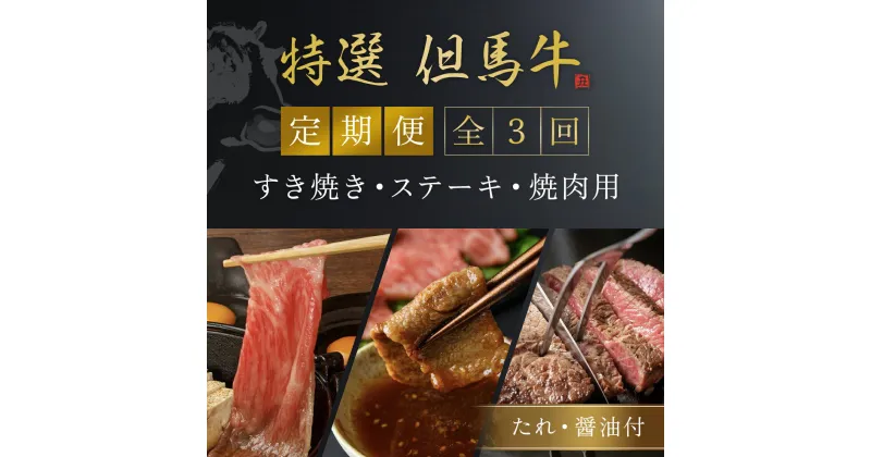 【ふるさと納税】但馬牛定期便【計3回】ロース・カルビ・サーロイン（たれ・醤油付）但馬牛 神戸牛 神戸ビーフ 黒毛和牛 国産牛 ブランド和牛 赤身 牛 お肉 牛肉 ビーフ 牛ロース ロース カルビ サーロイン 兵庫県 朝来市 AS1LEA2