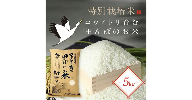 【ふるさと納税】＜令和6年産 新米＞特別栽培米 コウノトリ育む田んぼのお米 5kg (5kg×1袋)〈村上ファーム〉 お米 おこめ 米 こめ コメ ご飯 ごはん 白米 5キロ 兵庫県 朝来市 AS1BC16