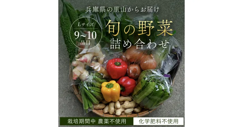 【ふるさと納税】＜栽培期間中農薬不使用＞兵庫県の里山からお届け 旬の野菜詰め合わせ Lサイズ＜9~10品目＞ 野菜 詰め合わせ セット 食べ比べ 旬 旬野菜 季節野菜 やさい ヤサイ 兵庫県 朝来市 AS24BB57