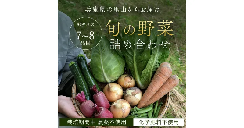 【ふるさと納税】＜栽培期間中農薬不使用＞兵庫県の里山からお届け 旬の野菜詰め合わせ Mサイズ＜7~8品目＞ 野菜 詰め合わせ セット 食べ比べ 旬 旬野菜 季節野菜 やさい ヤサイ 兵庫県 朝来市 AS24B27