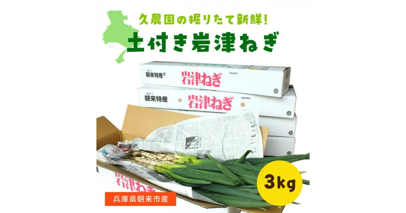 【ふるさと納税】【12月10日以降順次発送】冬季限定 知る人ぞ知るご当地ねぎ！朝来市特産の土付き岩津ねぎ 3kg(箱入り) 兵庫県 朝来市 AS2B20 岩津ねぎ ねぎ ネギ 葱 長ねぎ 長ネギ 長葱 ブランドねぎ ブランドネギ ブランド葱 期間限定 数量限定 野菜 旬の野菜 冬野菜