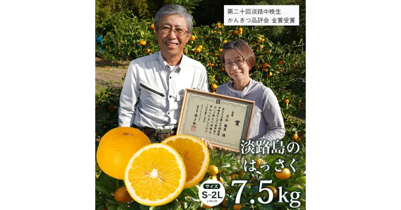 【ふるさと納税】片山農園の淡路島のはっさく7.5kg【サイズいろいろS〜2Lサイズ】